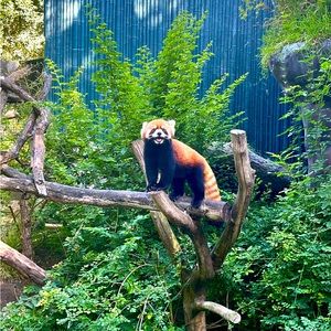 Meet your Posher, Chelcy